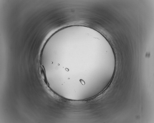 X0000097591200200803141847