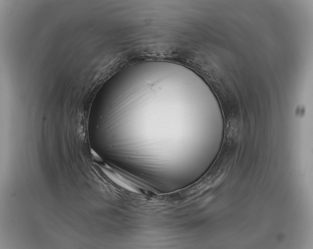 X0000097591202200803141847