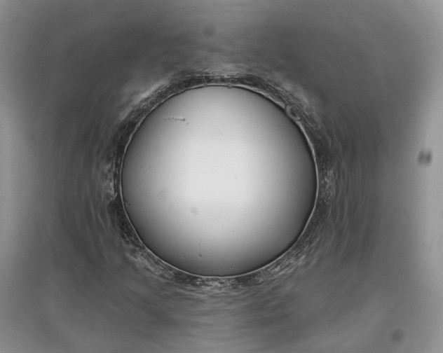 X0000097591205200803141847