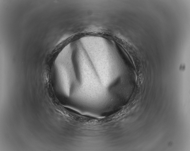 X0000097591206200803141847