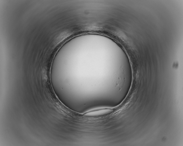 X0000097591209200803141847