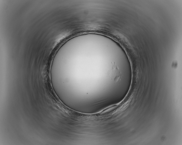 X0000097591210200803141847