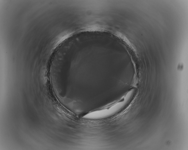 X0000097591213200803141847