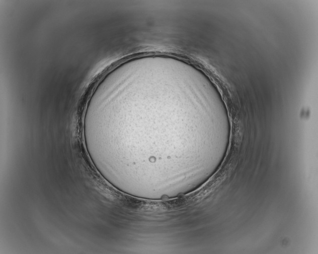 X0000097591215200803141847