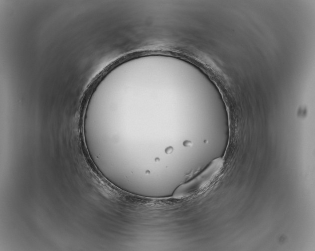 X0000097591216200803141847