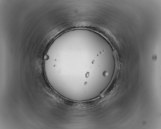 X0000097591217200803141847