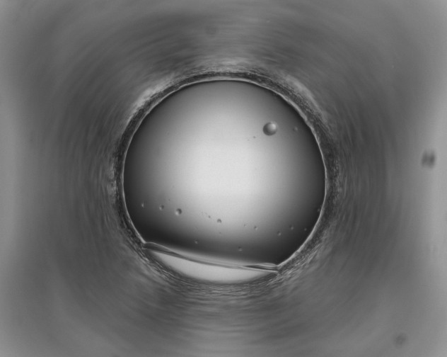 X0000097591218200803141847