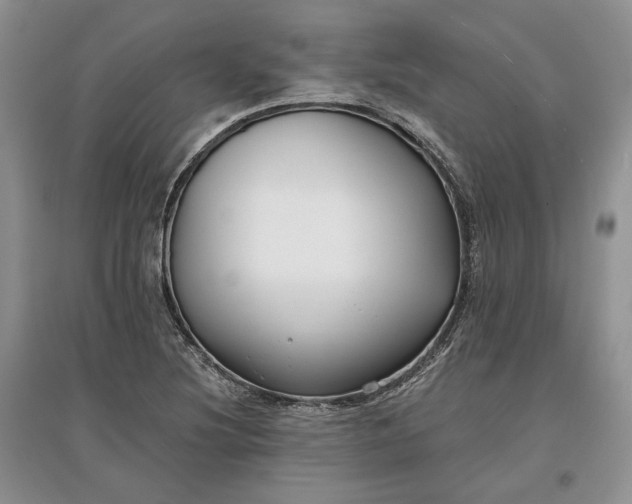 X0000097591220200803141847