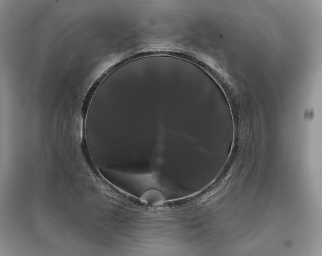 X0000097591221200803141847