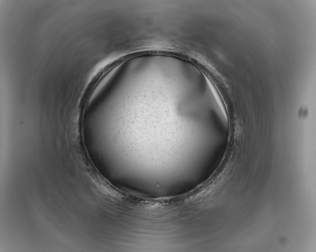 X0000097591222200803141847