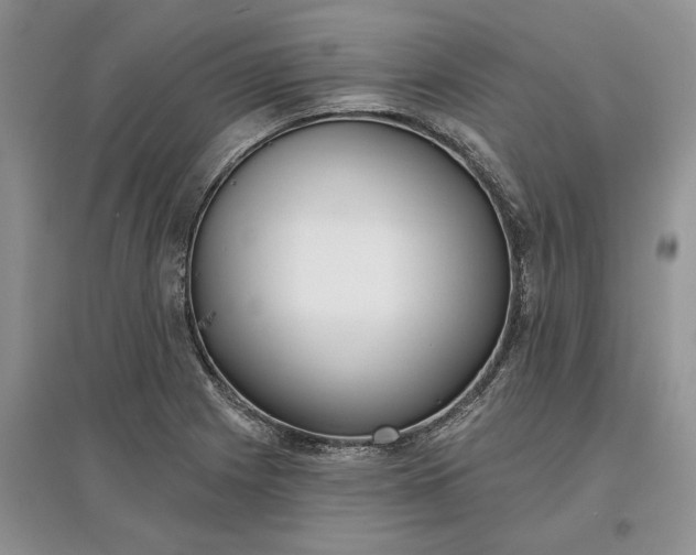 X0000097591225200803141847