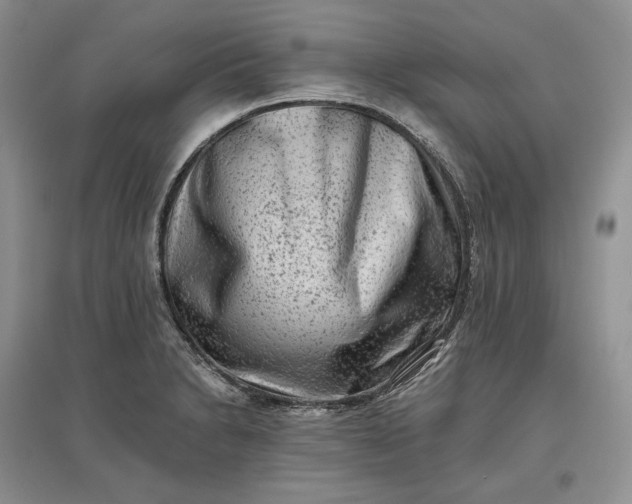 X0000097591230200803141847