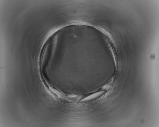 X0000097591231200803141847