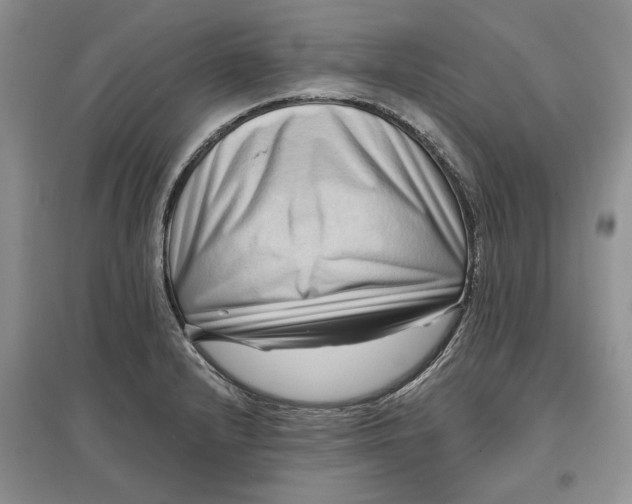 X0000097591232200803141847