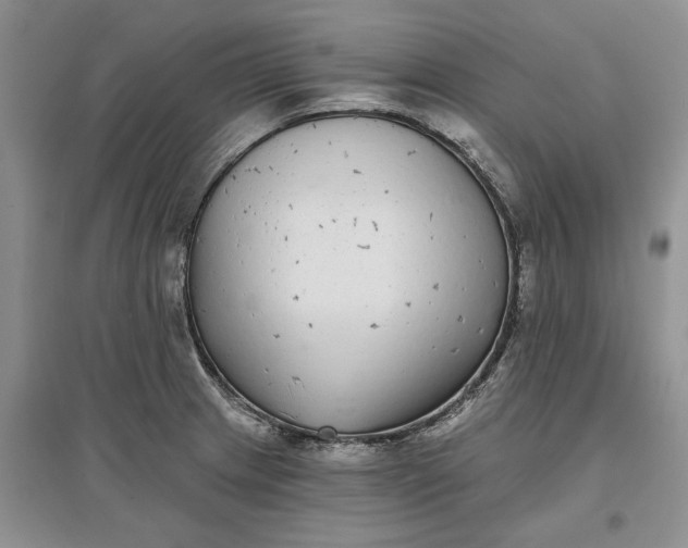 X0000097591233200803141847