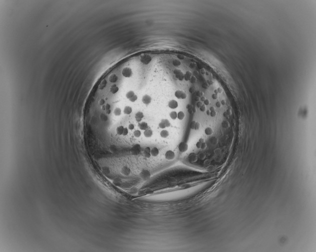 X0000097591234200803141847