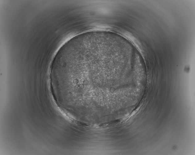 X0000097591235200803141847