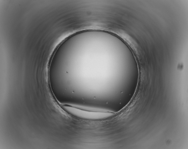 X0000097591238200803141847