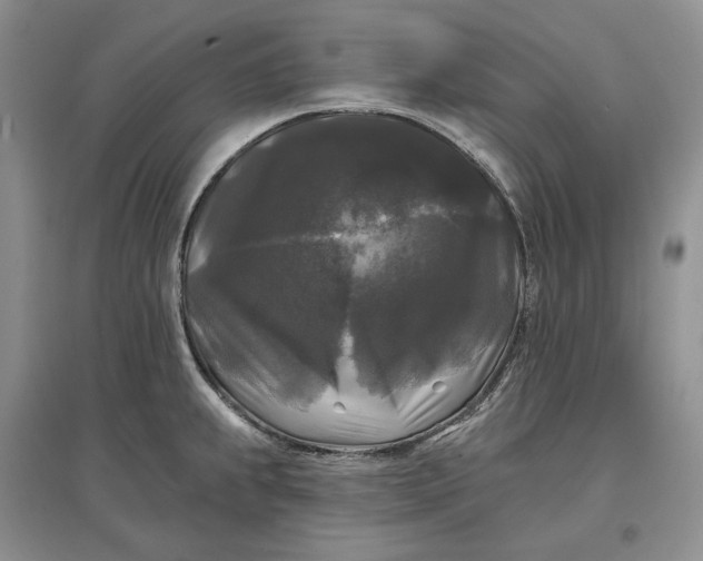 X0000097591239200803141847