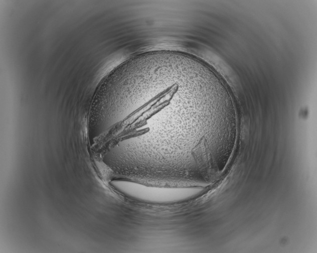 X0000097591241200803141847