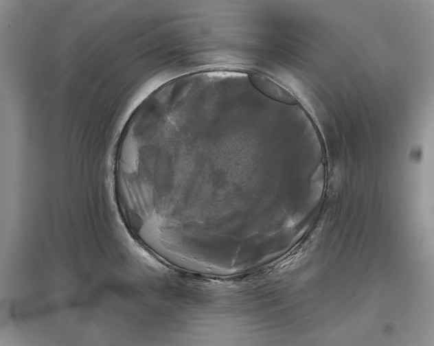 X0000097591243200803141847