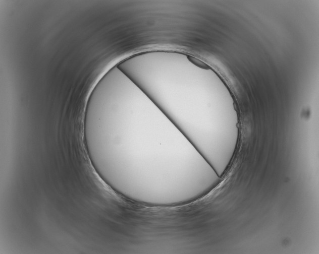 X0000097591244200803141847