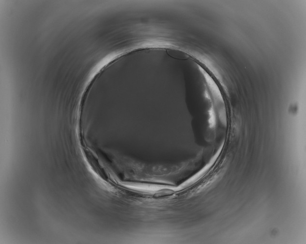 X0000097591245200803141847