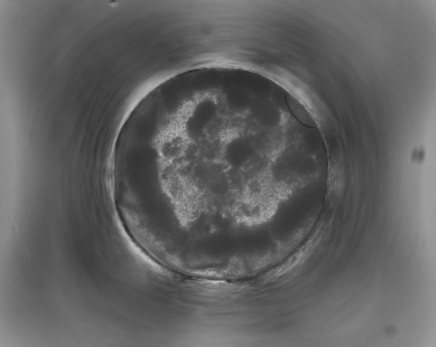 X0000097591247200803141847