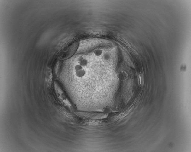 X0000097591251200803141847