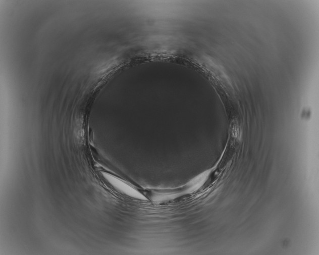 X0000097591252200803141847