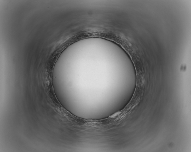 X0000097591253200803141847