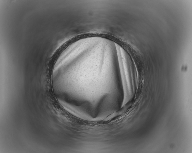 X0000097591256200803141847