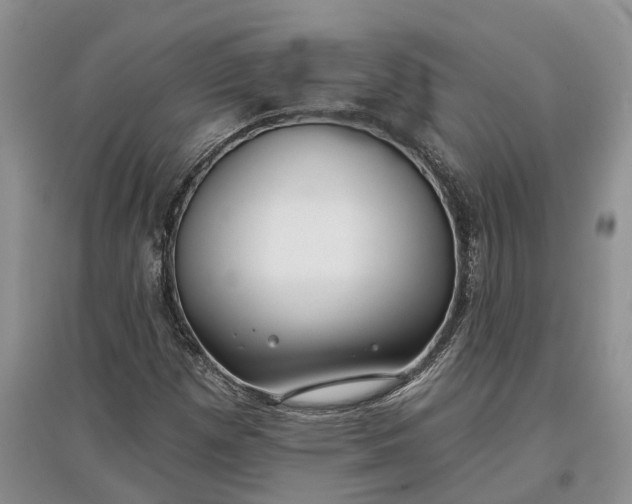 X0000097591257200803141847