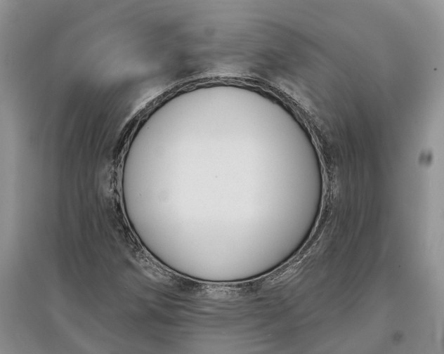 X0000097591258200803141847