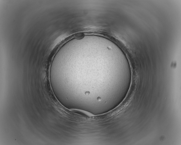 X0000097591259200803141847