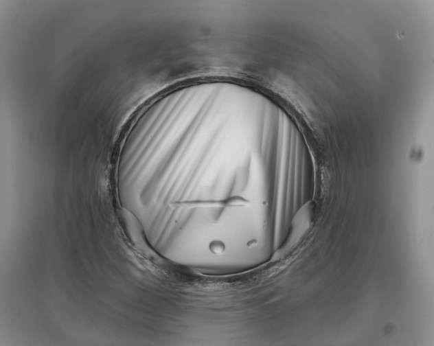 X0000097591260200803141847