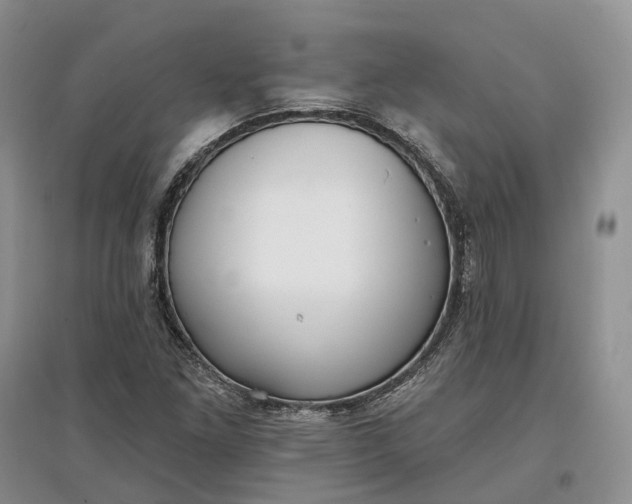 X0000097591261200803141847