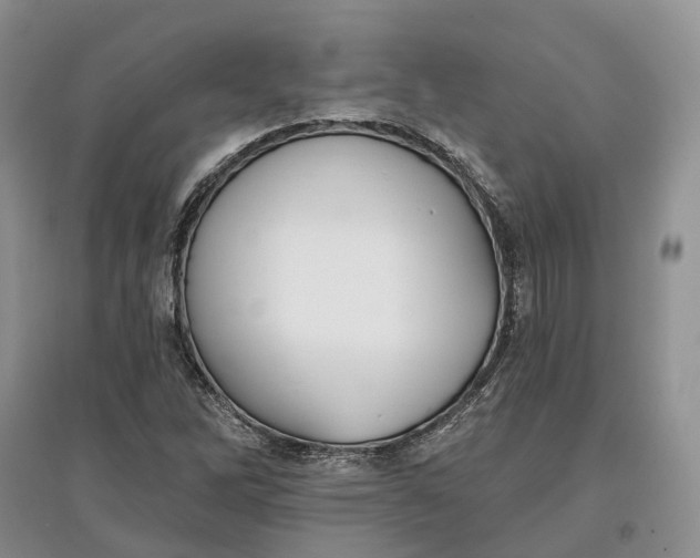 X0000097591262200803141847