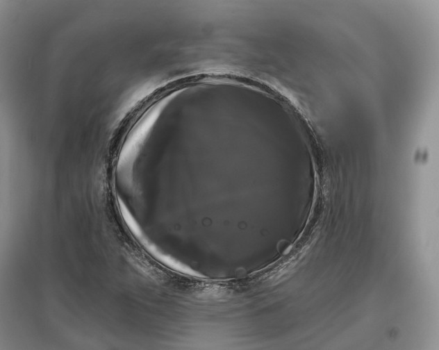 X0000097591263200803141847