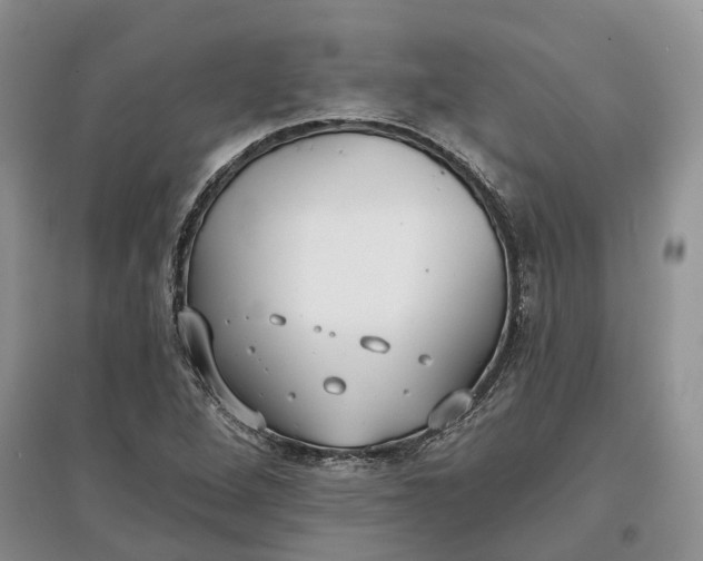 X0000097591264200803141847