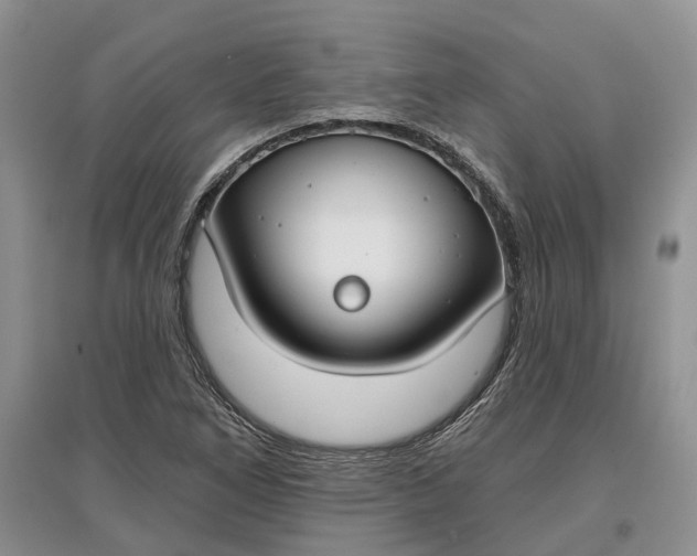 X0000097591266200803141847