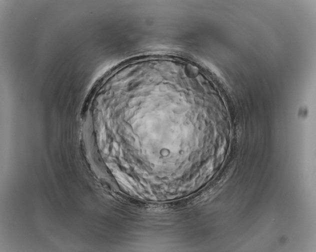 X0000097591267200803141847