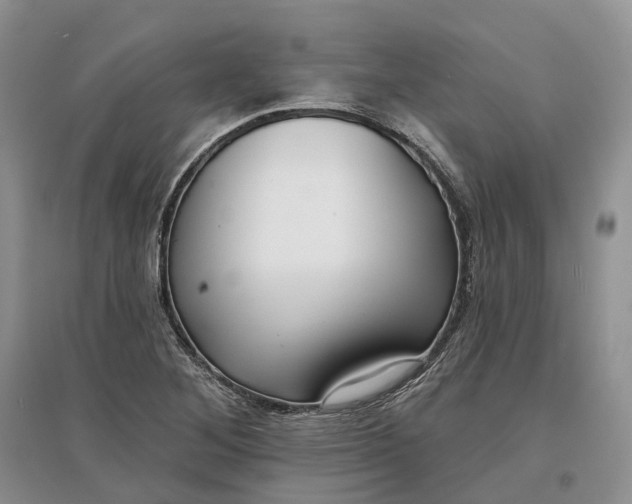 X0000097591268200803141847