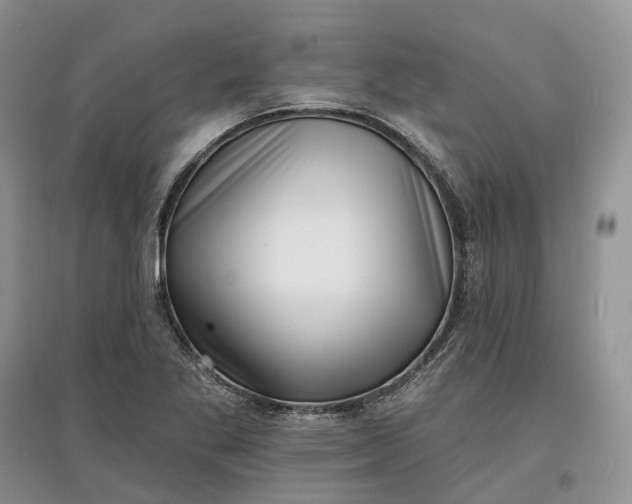 X0000097591269200803141847