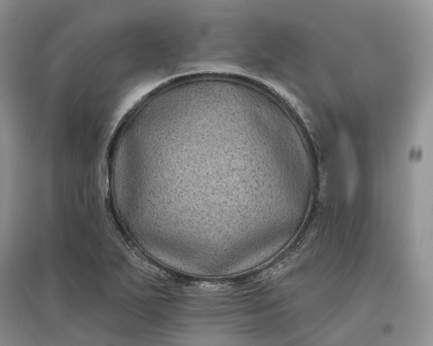 X0000097591271200803141847