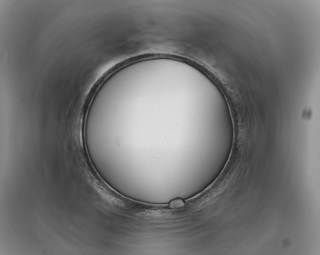 X0000097591272200803141847