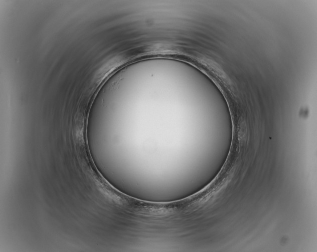 X0000097591273200803141846