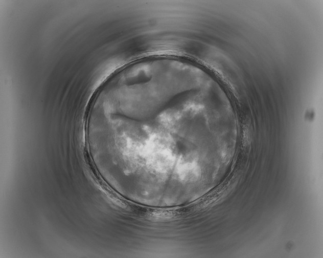 X0000097591274200803141846