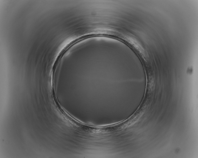 X0000097591275200803141846