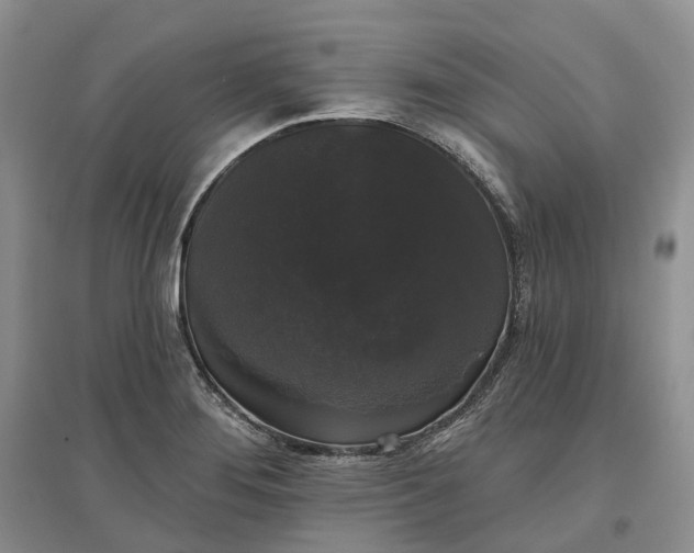 X0000097591276200803141846